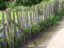 Zaun aus Esskastanienholz.jpg