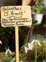 schneeglockchen-mit-schild-1.jpg
